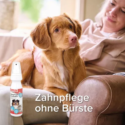 Beaphar Zahnpflege Zerstäuber für Hunde. Text: Zahnpflege ohne Bürste.