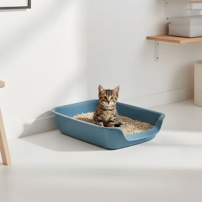 Blue plastic cat litter tray with lowered entry and side handles, brand Savic.