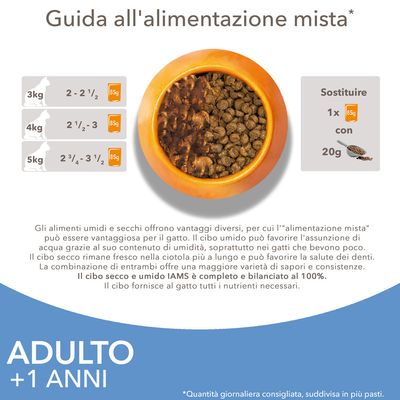 Guida all'alimentazione mista per gatti adulti: 3 kg 2–2½ porzioni, 4 kg 2½–3, 5 kg 2¾–3½; sostituire 1x85g umido con 20g secco. Quantità giornaliera consigliata.