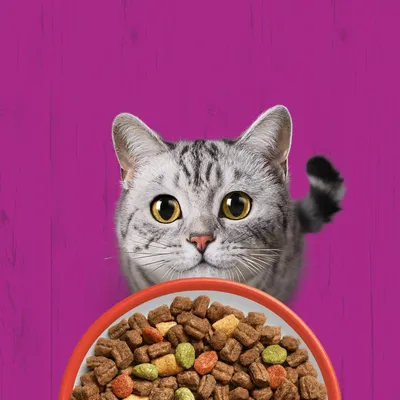 Whiskas 1+ vaca Whiskas 1+ vaca