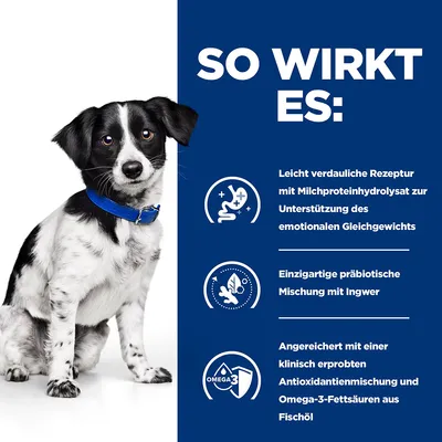 So wirkt es: Leicht verdauliche Rezeptur mit Milchproteinhydrolysat zur Unterstützung des emotionalen Gleichgewichts. Präbiotische Mischung mit Ingwer. Omega-3-Fettsäuren aus Fischöl.
