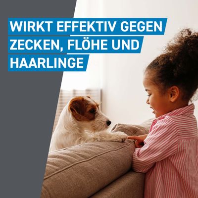 Frontline® Spot on Hund S
