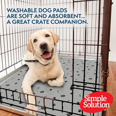 Simple Solution tvättbara hundmattor, mjuka och absorberande, idealiska för hundburar. Avbildad: labrador i en bur på mattan.