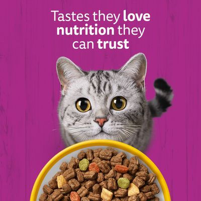 Text in image: Tastes they love, nutrition they can trust. Bowl with dry food and visible cat.