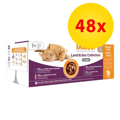 Confezione IAMS Land & Sea Collection in Jelly per gatti adulti, 48x85g. Gusti visibili: tonno e aringa, salmone e trota, tacchino e anatra, agnello e fegato. Età 1+ anni.