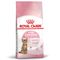 Royal Canin Kitten Sterilised 3,5 kg