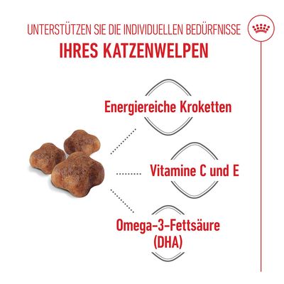 Royal Canin Mother & Babycat - Sparpaket: 2 x 10 kg