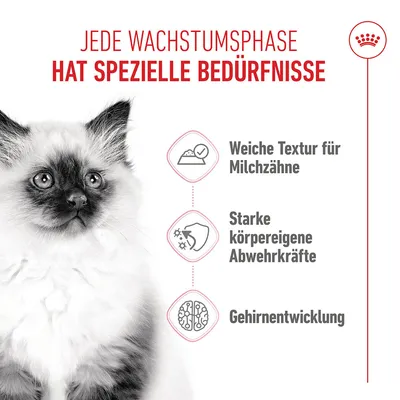 Royal Canin Kitten in Gelee - 12 x 85 g