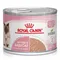 Royal Canin Mother & Babycat Ultra Soft Mousse 24 x 195 g