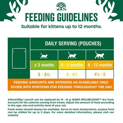 James Wellbeloved Kitten Hypoallergenic Pouches - Turkey - 12 x 85g