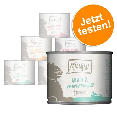 MjAMjAM Katzenfutter-Dosen: Gute Pute an gedämpftem Kürbis, Köstliche Garnelen, Saftiges Huhn, Kulinarischer Hirsch. Orangefarbener Kreis mit Text 'Jetzt testen!'.