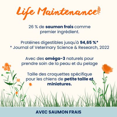 Life Maintenance : 26 % de saumon frais comme ingrédient principal, jusqu'à 94,65 % de protéines digestibles, oméga-3 naturels, croquettes spéciales pour petits chiens et chiens miniatures.