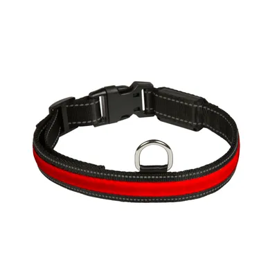 Schwarzes Hundehalsband mit rotem Streifen, Kunststoffverschluss und Metallring zur Befestigung.