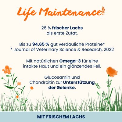Almo Nature Holistic Maintenance Trockenfutter für Hunde, mit frischem Lachs, 12kg, geeignet für grosse Hunde.