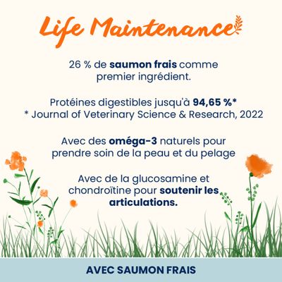 Almo Nature Adult Large, saumon & riz