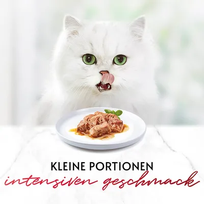 Kleine Portionen intensiven Geschmack. Abgebildet ist ein Teller mit Fleischstücken in Sauce.