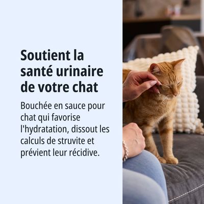 Favorise la santé des voies urinaires chez les chats. Les bouchées en sauce favorisent l’hydratation, dissolvent les calculs de struvite et préviennent leur réapparition.