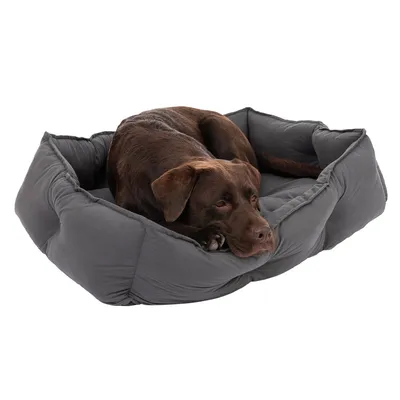 Brun hund ligger i en grå, polstret kæledyrsseng. Produktet viser sengens komfort og design.
