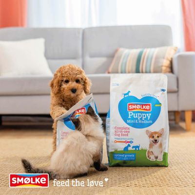 SMØLKE Puppy Mini & Medium Complete all-in-one dog food, optimal growth. Slogan: feed the love.