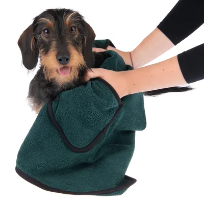 Hond wordt afgedroogd met een donkergroene handdoek, vastgehouden door twee handen. Handdoek van textiel zichtbaar om het lichaam van de hond gewikkeld.