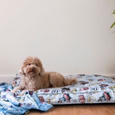 Dog lying on a printed dog cushion with colourful comic motifs, next to a blue blanket with a similar pattern.