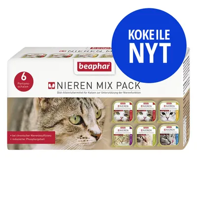 beaphar Nieren Mix Pack kissanruoka, 6 annosta. Kokeile nyt. Soveltuu krooniseen munuaisten vajaatoimintaan, vähennetty fosforipitoisuus. Pakkauskuvassa kissan kuva.