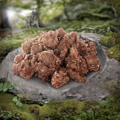 Krmivo pre psov s mäsitou konzistenciou na kameni, obklopené lesnou krajinou. V pozadí viditeľný vlk.