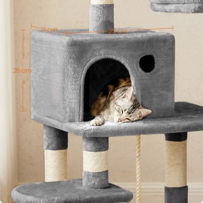 Feandrea Arbre à chat, gris clair