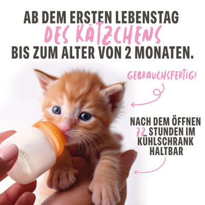 Schesir Kitten Ziegenmilch