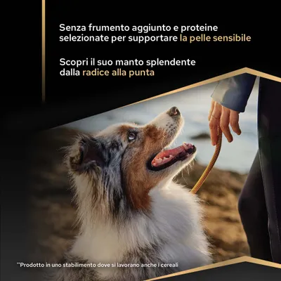 Senza aggiunta di grano e con proteine selezionate per il sostegno della pelle sensibile. Scopri il pelo lucente dalla radice alla punta. Prodotto in uno stabilimento con lavorazione dei cereali.