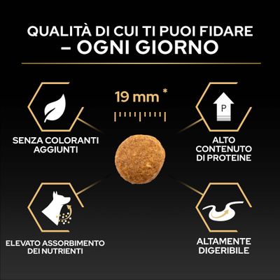 Crocchette con diametro di 19 mm, senza coloranti, alto contenuto proteico, elevato assorbimento di nutrienti, facilmente digeribili.