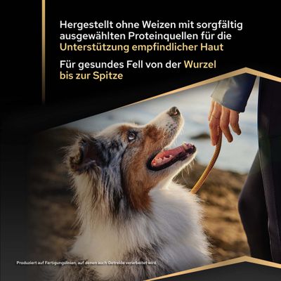 Hergestellt ohne Weizen, ausgewählte Proteinquellen für empfindliche Haut. Für gesundes Fell von der Wurzel bis zur Spitze. Produziert auf Linien, auf denen auch Getreide verarbeitet wird.