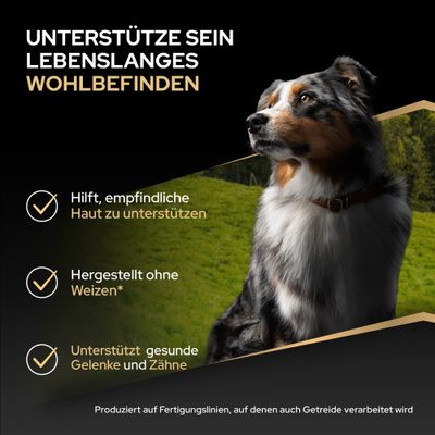 Unterstütze sein lebenslanges Wohlbefinden. Hilft, empfindliche Haut zu unterstützen. Hergestellt ohne Weizen. Unterstützt gesunde Gelenke und Zähne. Hinweis zu Getreideverarbeitung.