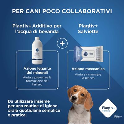 Plaqtiv+ Additivo per acqua potabile e Plaqtiv+ salviette dental. Per una semplice igiene orale quotidiana nei cani, aiuta contro il tartaro e la placca.