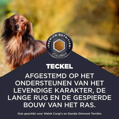 Teckel. Afgestemd op het ondersteunen van het levendige karakter, de lange rug en de gespierde lichaamsbouw van het ras. Ook geschikt voor Welsh Corgis en Dandie Dinmont Terriërs.