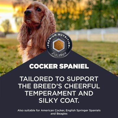 Cocker Spaniel. Prémiová výživa od roku 1969. Podporuje temperamentnú povahu a hodvábnu srsť. Vhodné aj pre amerického kokršpaniela, anglického springeršpaniela a bígla.