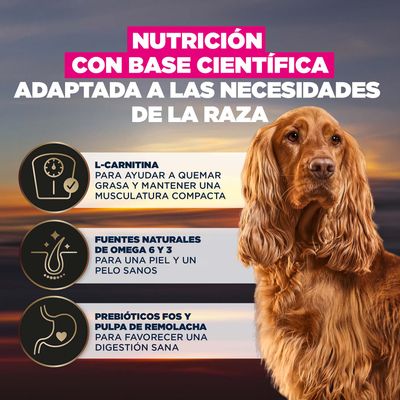 Nutrición basada en la ciencia, adaptada a la raza. Contiene L-carnitina, Omega 6 y 3 de fuentes naturales, así como fructo-oligosacáridos (FOS) y pulpa de remolacha para una digestión saludable.