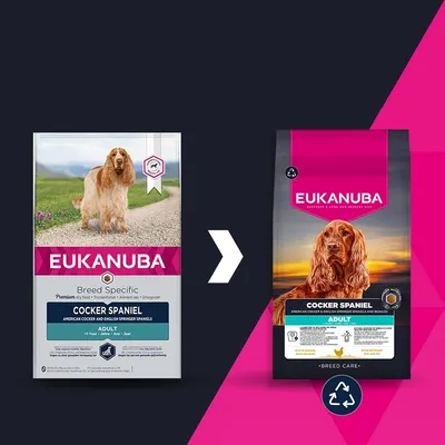 Eukanuba Cocker Spaniel Adult суха храна: Изображението показва промяна на опаковката от стар към нов дизайн с рециклиращ символ. Eukanuba Cocker Spaniel Adult суха храна: Изображението показва промяна на опаковката от стар към нов дизайн с рециклиращ символ.