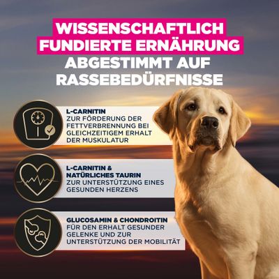 Wissenschaftlich fundierte Ernährung, abgestimmt auf Rassebedürfnisse. L-Carnitin für Fettverbrennung und Muskelerhalt, Taurin für Herz, Glucosamin & Chondroitin für Gelenke und Mobilität.