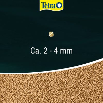 Tetra. Pellet di alimento con una taglia di ca. 2–4 mm.