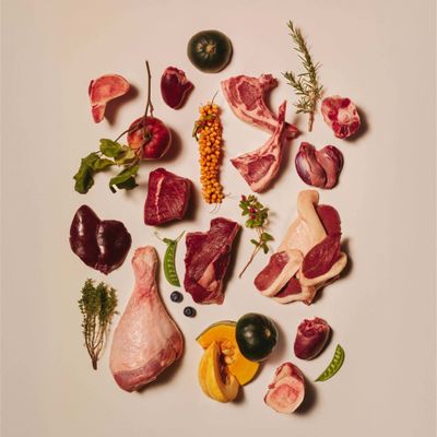 Verschillende rauwe stukjes vlees, organen, botten, pompoen, appel, kruiden, bessen en erwtenpeulen als ingrediënten naast elkaar gerangschikt.