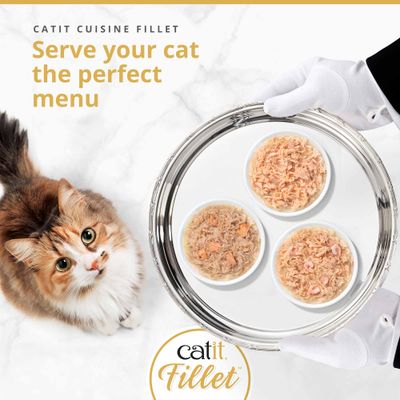 CATIT CUISINE FILLET. Dopřejte své kočce dokonalé menu. Tři misky s Catit Fillet vlhkým krmivem na podnose, kočka vedle nich.
