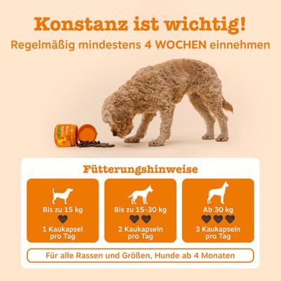 Fütterungshinweise: Bis zu 15 kg 1 Kaukapsel pro Tag, 15-30 kg 2 Kaukapseln, ab 30 kg 3 Kaukapseln. Für alle Rassen und Größen, Hunde ab 4 Monaten. Mindestens 4 Wochen einnehmen.