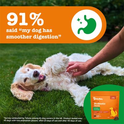 91% say: 'My dog has better digestion.' Zesty Paws Probiotic Chews packaging visible. Survey of 61 dog owners in the UK, tested over 45 days.