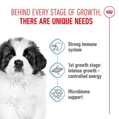 Behind every stage of growth, there are unique needs. Strong immune system, 1st growth stage: intense growth – controlled energy, microbiome support.