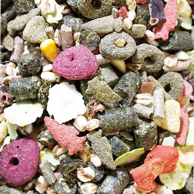 Blandning av torrfoder för smådjur med pellets, torkade grönsaker och färgade bitar i olika former. Inga synliga varumärken eller text.