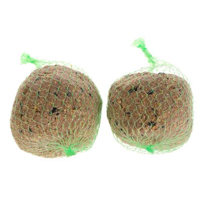 Dvě hnědé koule v zelené plastové síťce, bez viditelného textu nebo značky. Obsahují tmavé kousky.