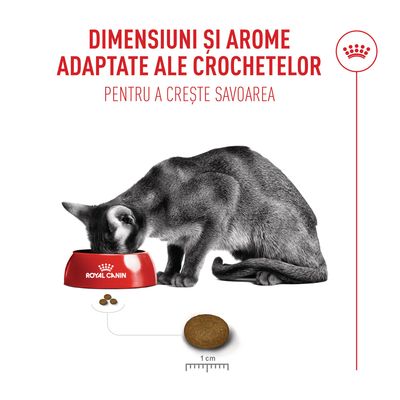 Royal Canin Fussy Exigent - 10 + 2 kg gratis!
