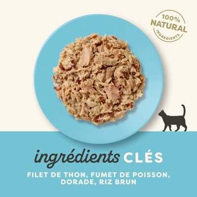 Applaws Cat Natural in Brühe 12 x 70 g - Thunfisch mit Dorade