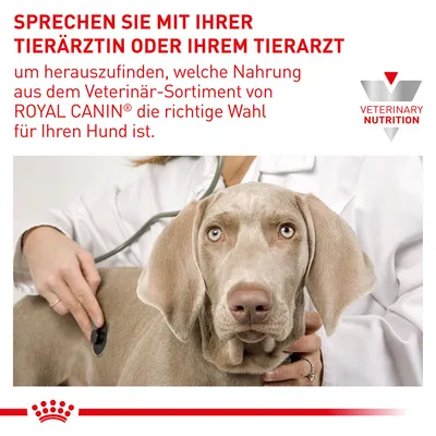 Texte en allemand : Sprechen Sie mit Ihrer Tierärztin oder Ihrem Tierarzt... ROYAL CANIN. Logo Veterinary Nutrition. Vétérinaire examinant un chien avec un stéthoscope.